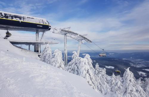 GÓRSKA CISZA - Duży, komfortowy, wyjątkowy Apartament - Foto 41