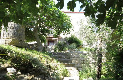 Apartman Biba - Foto 25