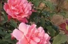 Cozy Apollon Villa, Sea View, Next To Galaxidi - Photo 53