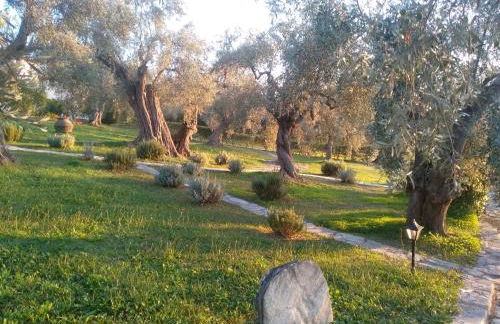 Saint Andrews Bay - Foto 27