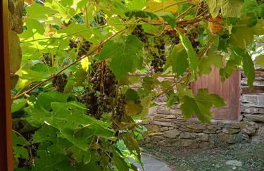 Casa do Ti Tóte - Foto 22