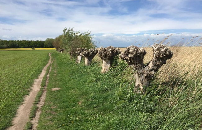 Nice Apartment in Ostseebad Wustrow - Foto 10