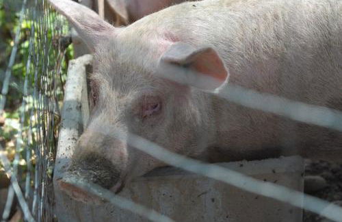 Agriturismo Sol De Montalto - Photo 41