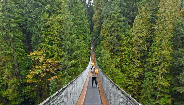 Capilano Suspension Bridge Park Tickets - Photo 5