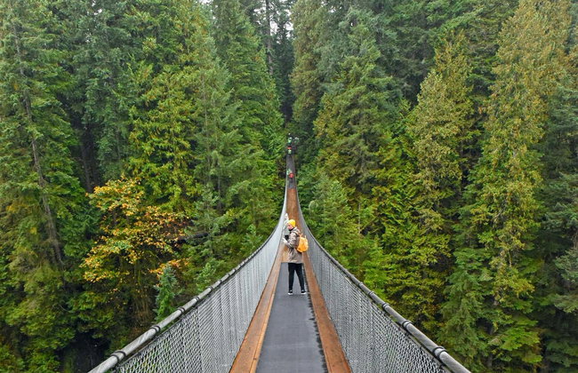 Capilano Suspension Bridge Park Tickets - Photo 5
