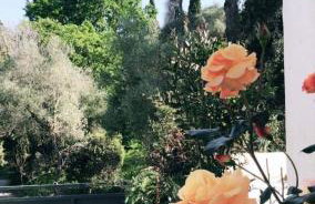 Villa Anasandra - 3 Bedroom Villa - Foto 41