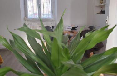 Coquette Maison, Côté Château à Mutzig en Alsace - Foto 20