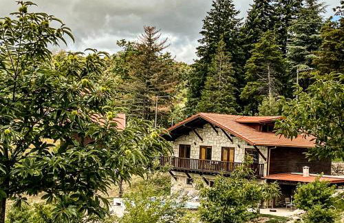 Quinta OUTONO DOURADO - Foto 64