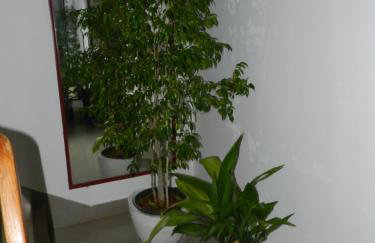 Levak Apartments - Apt. 1 - Photo 19