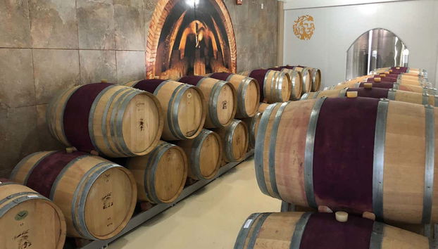 We'll visit the wine cellars