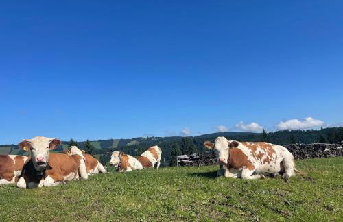Ferienwohnung Oberallgäu Ferienpark mit Schwimmbad - Foto 46