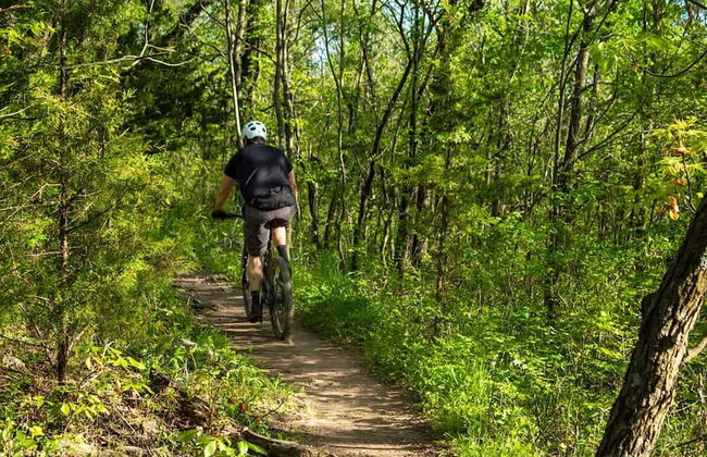 Stone Farmhouse in Groves - Sea Mountain Views - Foto 51