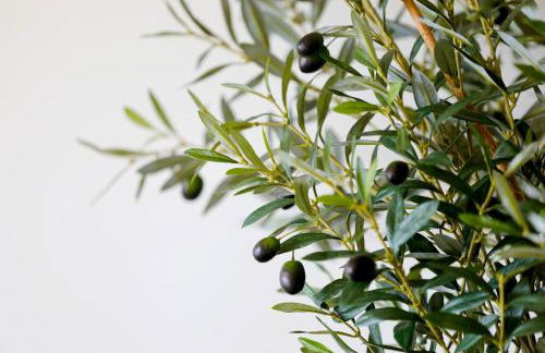 Villa Marcia Home - Nature, Golf, Beaches-Lagos - Foto 11