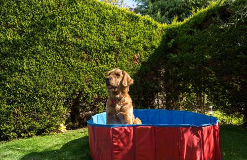 Dagi's Dolcevita Apartments - Foto 27