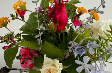 Angel Residence - Foto 33