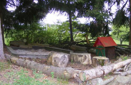 Appartementhaus Schwarzwaldblick - Foto 40