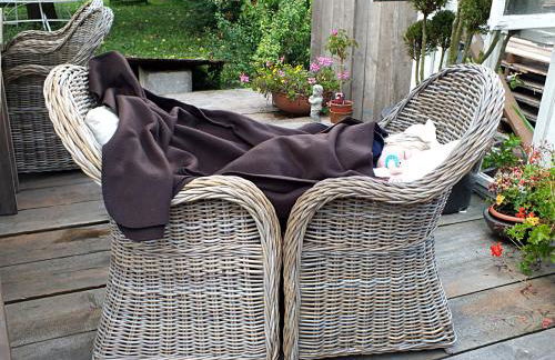 Heimat Floral Ferienwohnung - Foto 22