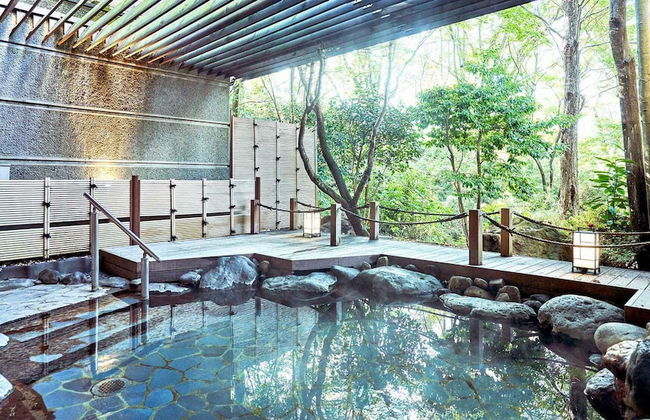 Tokyu Vacations Hakone Gora - Foto 23