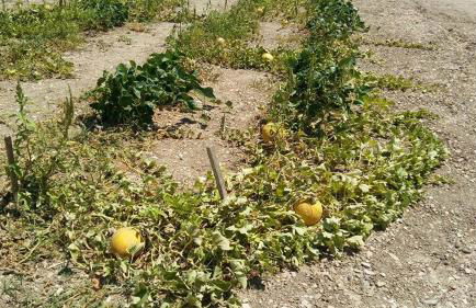 House On The Wave - Foto 43