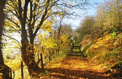 Bryn Araul - Foto 16