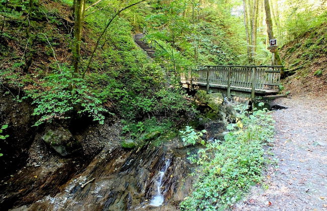 Apartment mit Balkon Nahe am Erlebnisberg Kappe - Foto 33