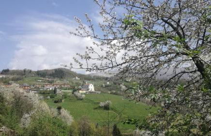 La Marina Resort - Foto 18