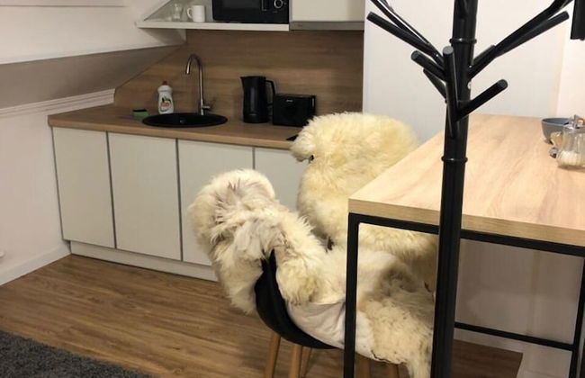 Apart-hotel Nordian - Foto 57