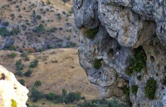 Apartamentos El Pajar del Abuelo - Foto 17