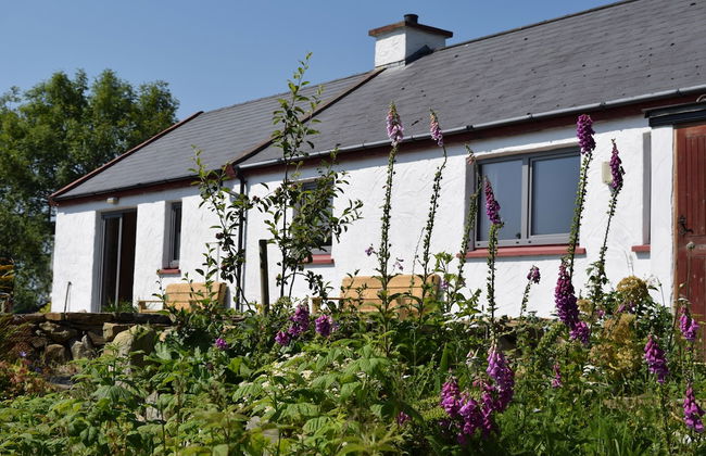 The Song House - Photo 11