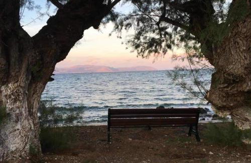 Evangelia House Sea View Apartments - Foto 5