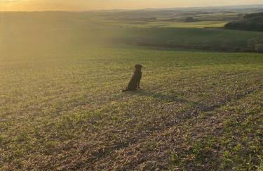 Stewards Cottage - Foto 21