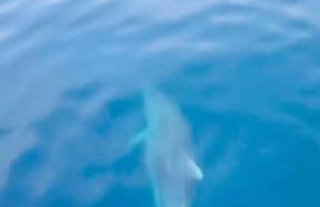 Roquetas Costa - Foto 28