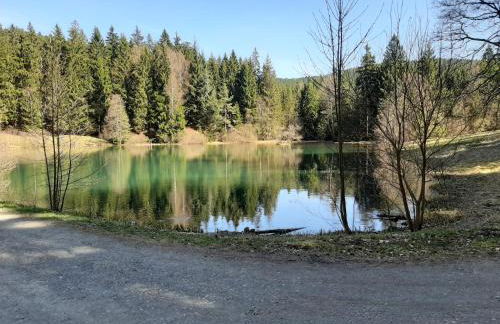 Ferienhaus Rosemarie Erlbach Vogtland - Foto 15