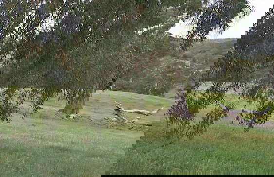 Kinross Metcalfe Farm - Foto 47