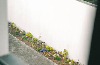 Rauls Place - Foto 26