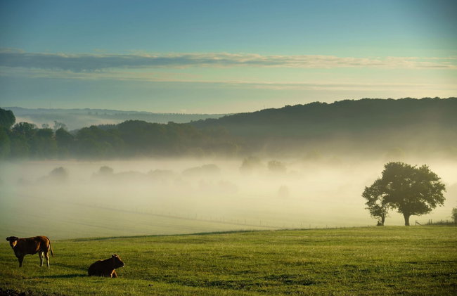 Peaceful Holiday Home - Foto 41