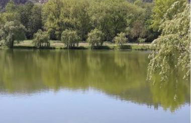 GITE BAS-EN-BASSET, HAUTE-LOIRE, MAISON et JARDIN ATYPIQUE PLEINE NATURE - Foto 31