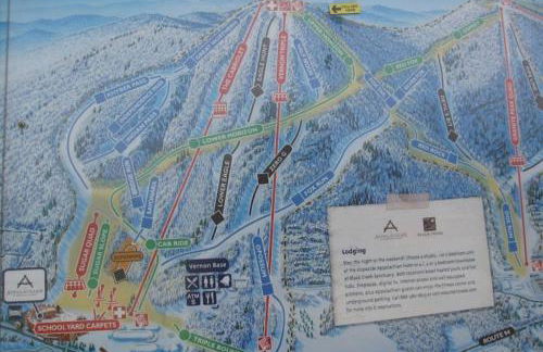 Cozy Studio Resort Stay Mountain Creek Pool Hiking - Foto 30