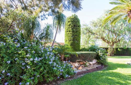 Casa Segaria - Foto 10