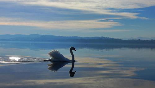 Appartamento Miralago Varese Lakefront and Garden - Foto 5