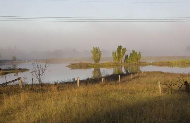 Talga Vines Vineyard Escape - Foto 13