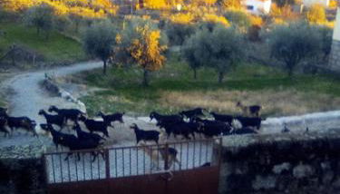 Pedregulho Experience - Foto 3