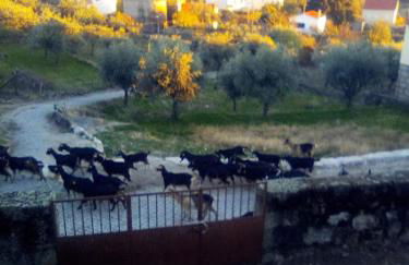 Pedregulho Experience - Foto 3