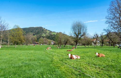 Wohnung Brauneck - Foto 25