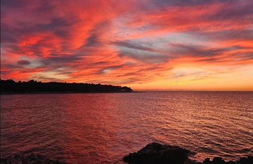 Valamoro Apartments - Photo 4