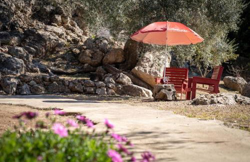 Cortijo Salva - Foto 28