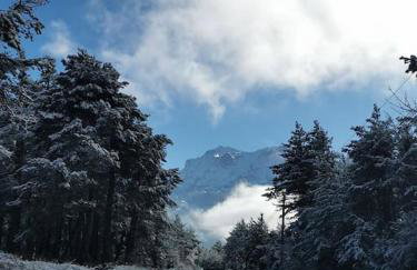 La marmotte - Foto 10