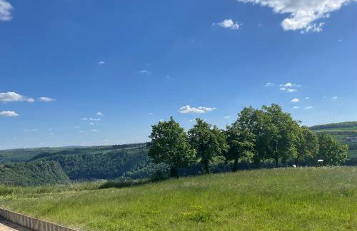 Loreleyblick-Ferienwohnung am Rheinsteig - Natur und Aussicht - Foto 11