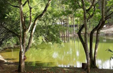 Sítio é Benção em Igaratá - Foto 47