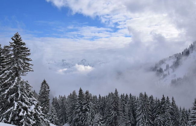 Holiday Apartment Allgauer Alpenblick - Foto 29